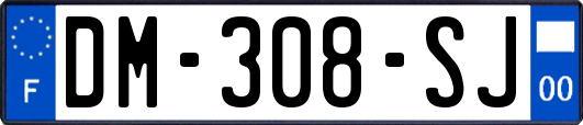 DM-308-SJ