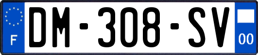 DM-308-SV