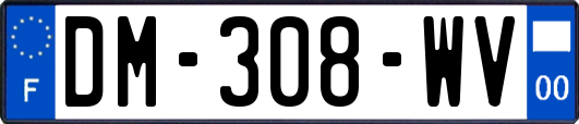 DM-308-WV