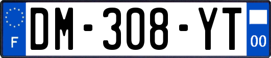 DM-308-YT