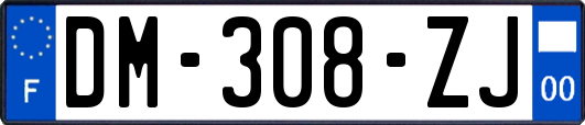 DM-308-ZJ