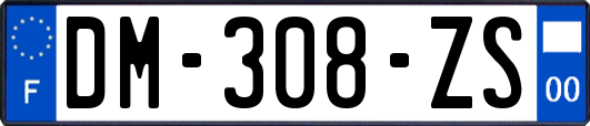 DM-308-ZS