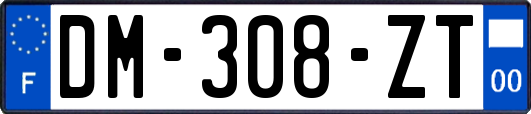 DM-308-ZT