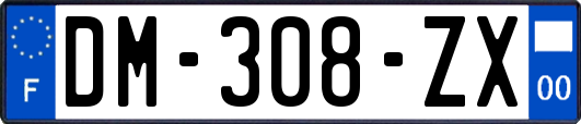 DM-308-ZX