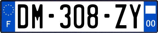 DM-308-ZY