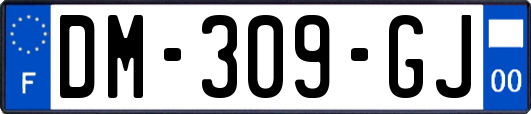 DM-309-GJ