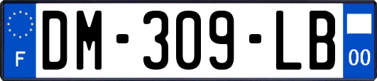 DM-309-LB