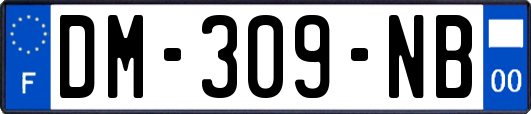 DM-309-NB