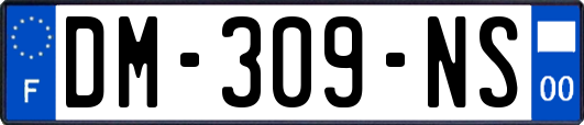 DM-309-NS