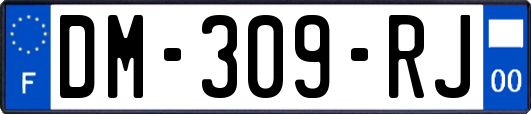 DM-309-RJ