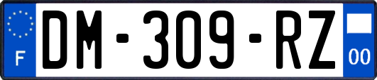 DM-309-RZ