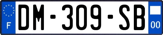 DM-309-SB
