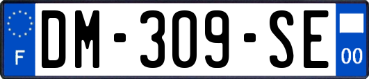 DM-309-SE