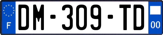 DM-309-TD