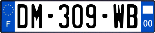 DM-309-WB