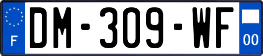 DM-309-WF