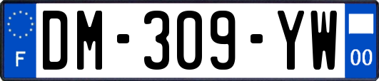 DM-309-YW