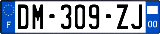 DM-309-ZJ