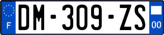 DM-309-ZS