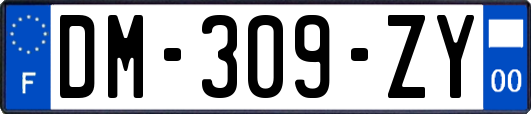 DM-309-ZY