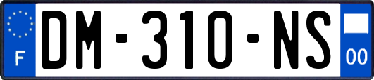 DM-310-NS