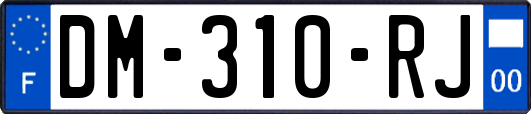 DM-310-RJ