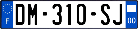 DM-310-SJ