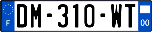 DM-310-WT