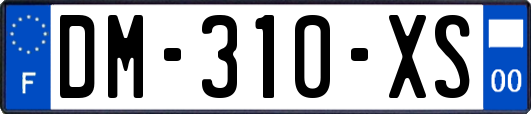 DM-310-XS