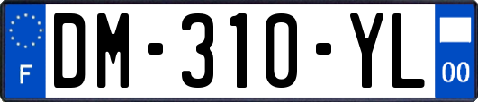 DM-310-YL