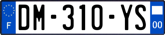 DM-310-YS