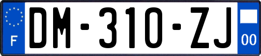 DM-310-ZJ