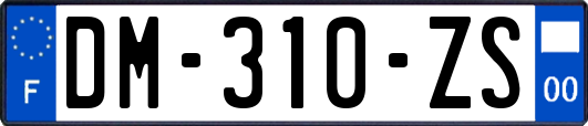 DM-310-ZS