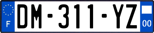 DM-311-YZ