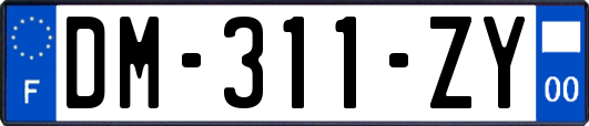 DM-311-ZY