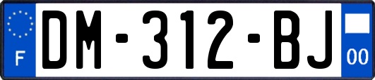 DM-312-BJ