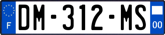 DM-312-MS