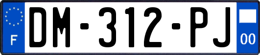DM-312-PJ