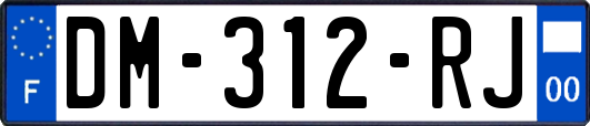 DM-312-RJ