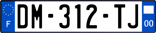DM-312-TJ