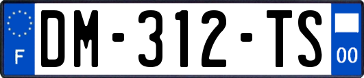 DM-312-TS