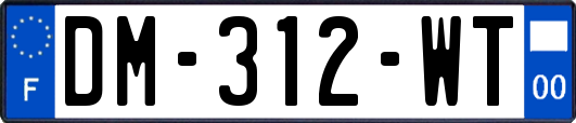 DM-312-WT