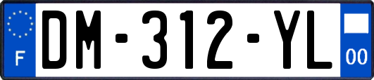 DM-312-YL