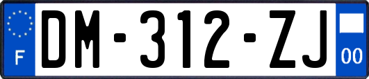 DM-312-ZJ