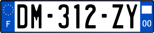 DM-312-ZY