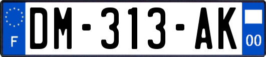 DM-313-AK