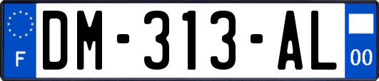 DM-313-AL