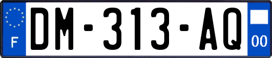 DM-313-AQ