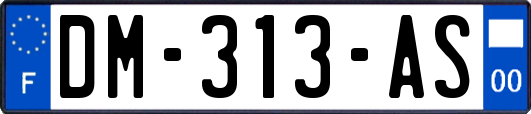 DM-313-AS