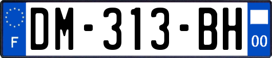 DM-313-BH